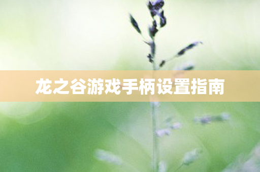 龙之谷游戏手柄设置指南