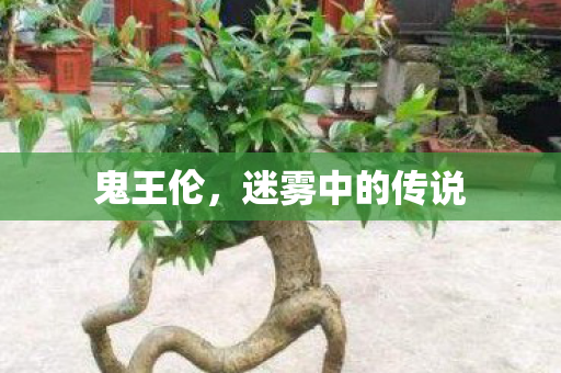 鬼王伦，迷雾中的传说