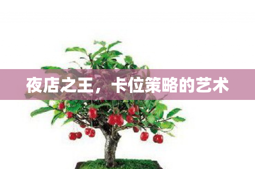 夜店之王，卡位策略的艺术