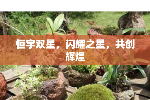 恒宇双星，闪耀之星，共创辉煌