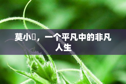 莫小囧，一个平凡中的非凡人生
