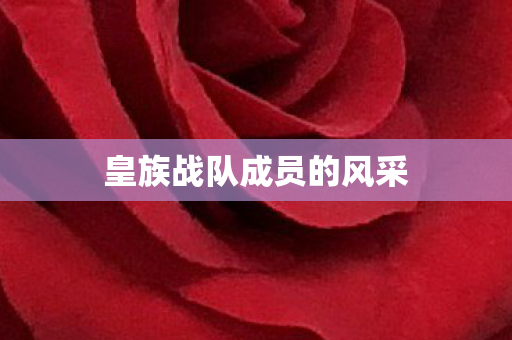 皇族战队成员的风采