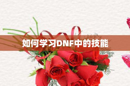 如何学习DNF中的技能