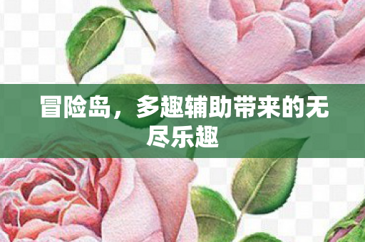 冒险岛，多趣辅助带来的无尽乐趣