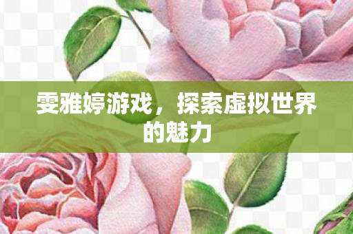 雯雅婷游戏，探索虚拟世界的魅力