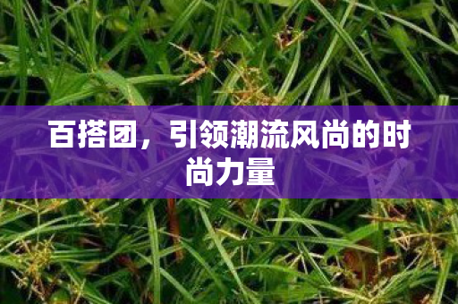 百搭团，引领潮流风尚的时尚力量