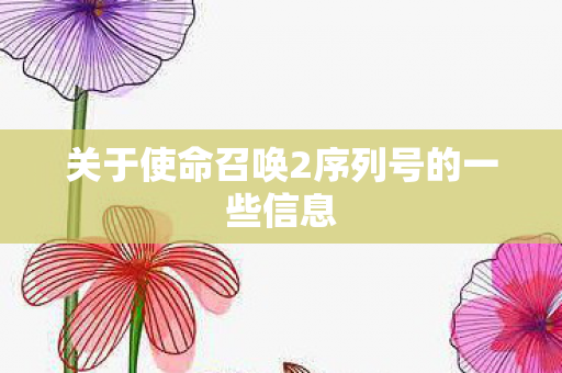 关于使命召唤2序列号的一些信息