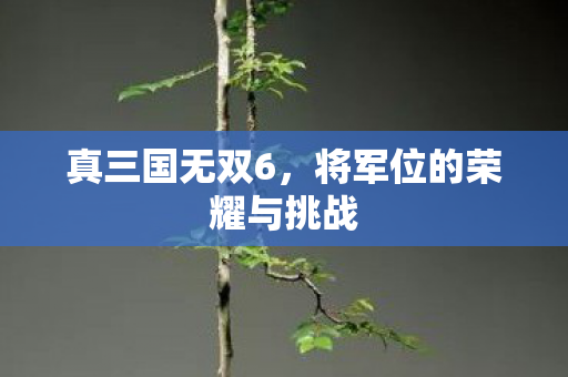 真三国无双6，将军位的荣耀与挑战