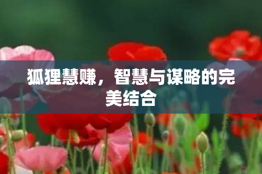 狐狸慧赚，智慧与谋略的完美结合