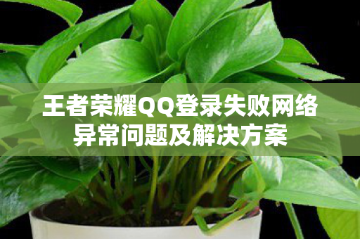 王者荣耀QQ登录失败网络异常问题及解决方案