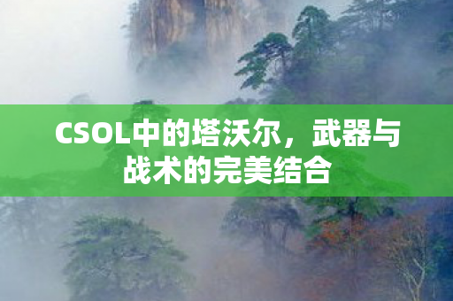 CSOL中的塔沃尔，武器与战术的完美结合