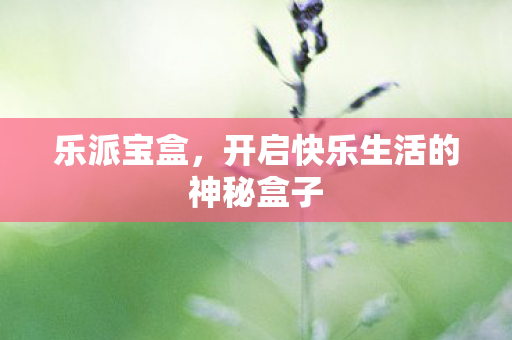 乐派宝盒，开启快乐生活的神秘盒子