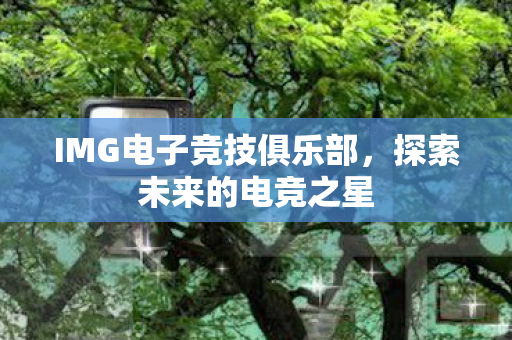 IMG电子竞技俱乐部，探索未来的电竞之星