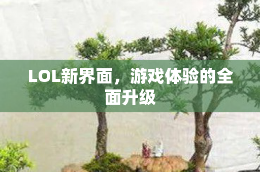 LOL新界面，游戏体验的全面升级