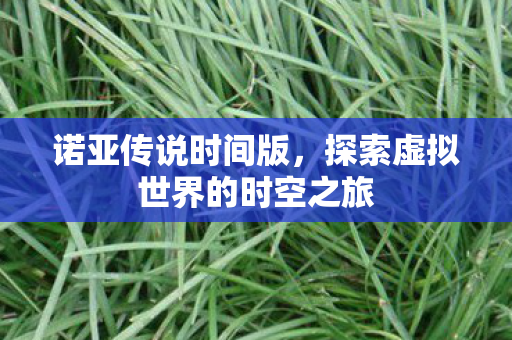 诺亚传说时间版，探索虚拟世界的时空之旅