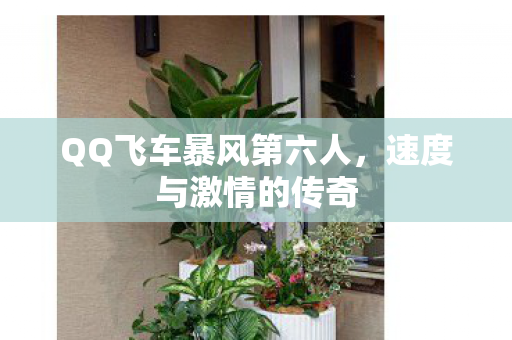 QQ飞车暴风第六人,速度与激情的传奇 QQ飞车暴风第六人,速度与激情的传奇