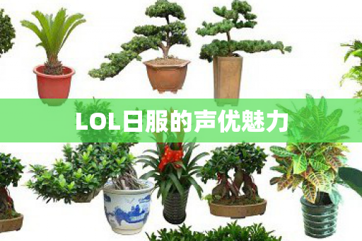 LOL日服的声优魅力