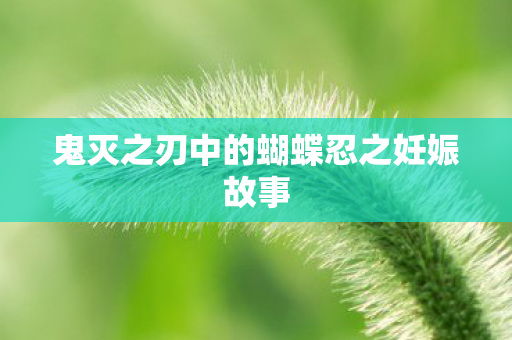 鬼灭之刃中的蝴蝶忍之妊娠故事