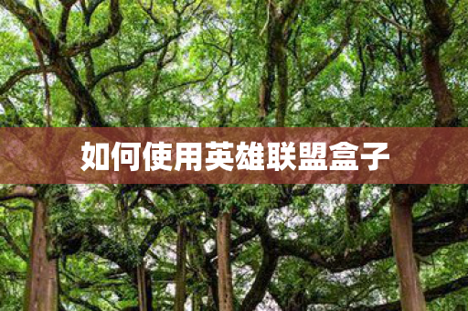 如何使用英雄联盟盒子 如何使用英雄联盟盒子