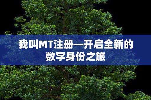 我叫MT注册—开启全新的数字身份之旅