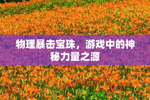 物理暴击宝珠，游戏中的神秘力量之源