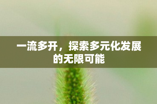 一流多开，探索多元化发展的无限可能