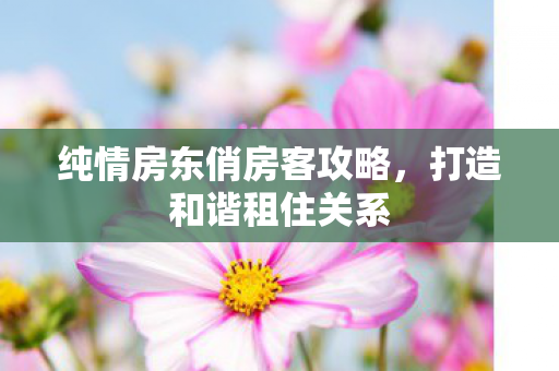 纯情房东俏房客攻略，打造和谐租住关系