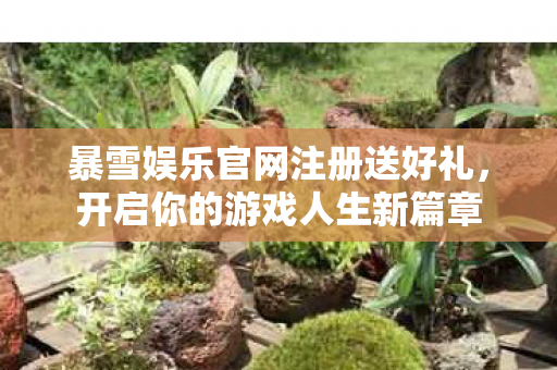 暴雪娱乐官网注册送好礼，开启你的游戏人生新篇章