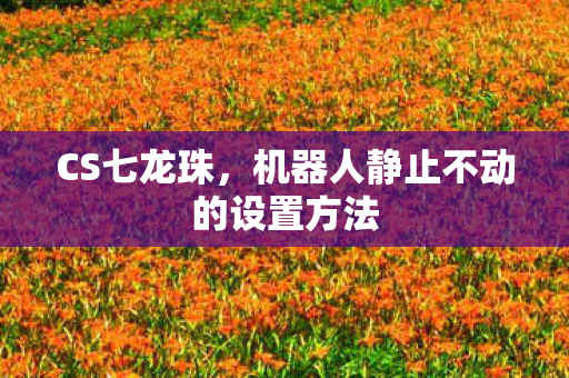 CS七龙珠,机器人静止不动的设置方法 CS七龙珠,机器人静止不动的设置方法