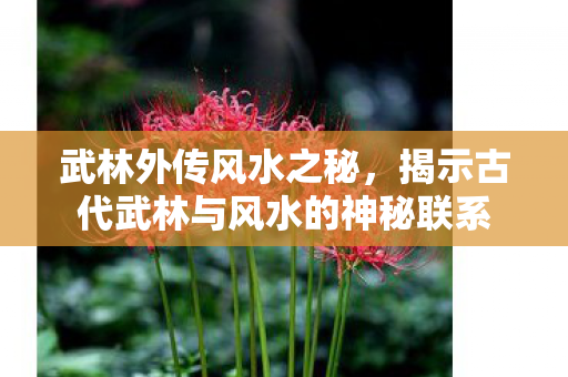 武林外传风水之秘，揭示古代武林与风水的神秘联系