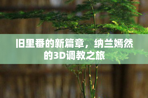 旧里番的新篇章，纳兰嫣然的3D调教之旅