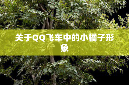 关于QQ飞车中的小橘子形象