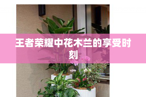 王者荣耀中花木兰的享受时刻 王者荣耀中花木兰的享受时刻