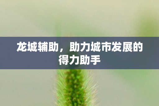 龙城辅助，助力城市发展的得力助手