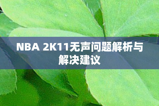 NBA 2K11无声问题解析与解决建议