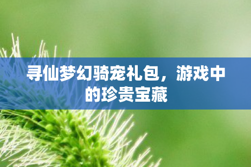 寻仙梦幻骑宠礼包，游戏中的珍贵宝藏