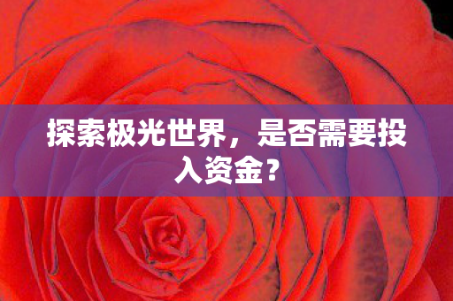 探索极光世界，是否需要投入资金？