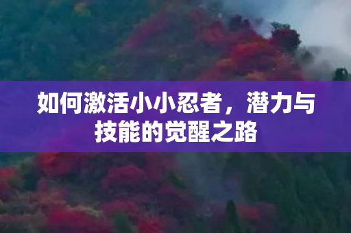 如何激活小小忍者，潜力与技能的觉醒之路