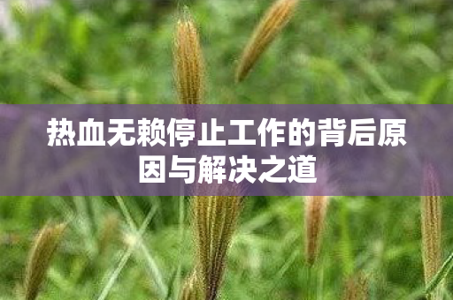 热血无赖停止工作的背后原因与解决之道