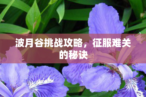 波月谷挑战攻略，征服难关的秘诀