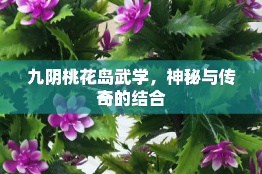 九阴桃花岛武学,神秘与传奇的结合 九阴桃花岛武学,神秘与传奇的结合