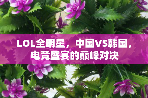 LOL全明星,中国VS韩国,电竞盛宴的巅峰对决