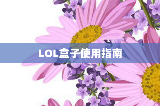 LOL盒子使用指南