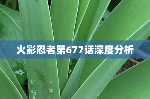 火影忍者第677话深度分析