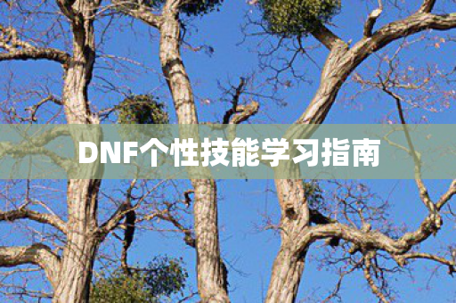 DNF个性技能学习指南