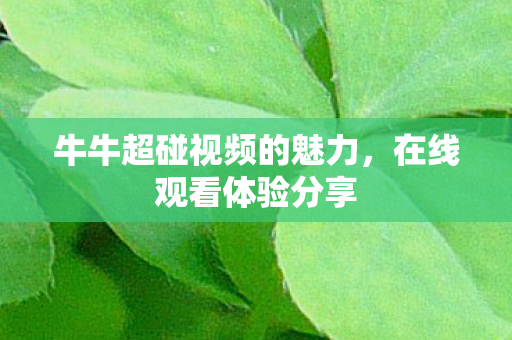 牛牛超碰视频的魅力,在线观看体验分享 牛牛超碰视频的魅力,在线观看体验分享