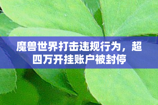 魔兽世界打击违规行为,超四万开挂账户被封停 魔兽世界打击违规行为,超四万开挂账户被封停