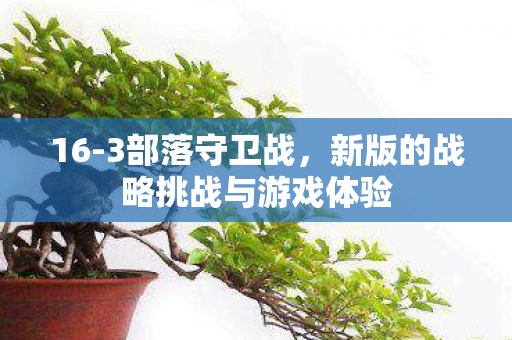16-3部落守卫战，新版的战略挑战与游戏体验