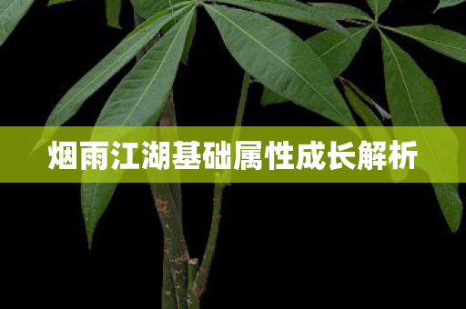 烟雨江湖基础属性成长解析