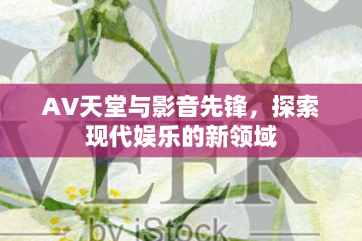 AV天堂与影音先锋，探索现代娱乐的新领域